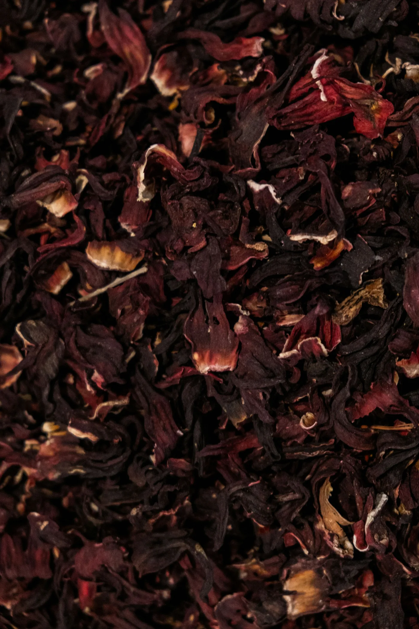 Red Hibiscus detail 3