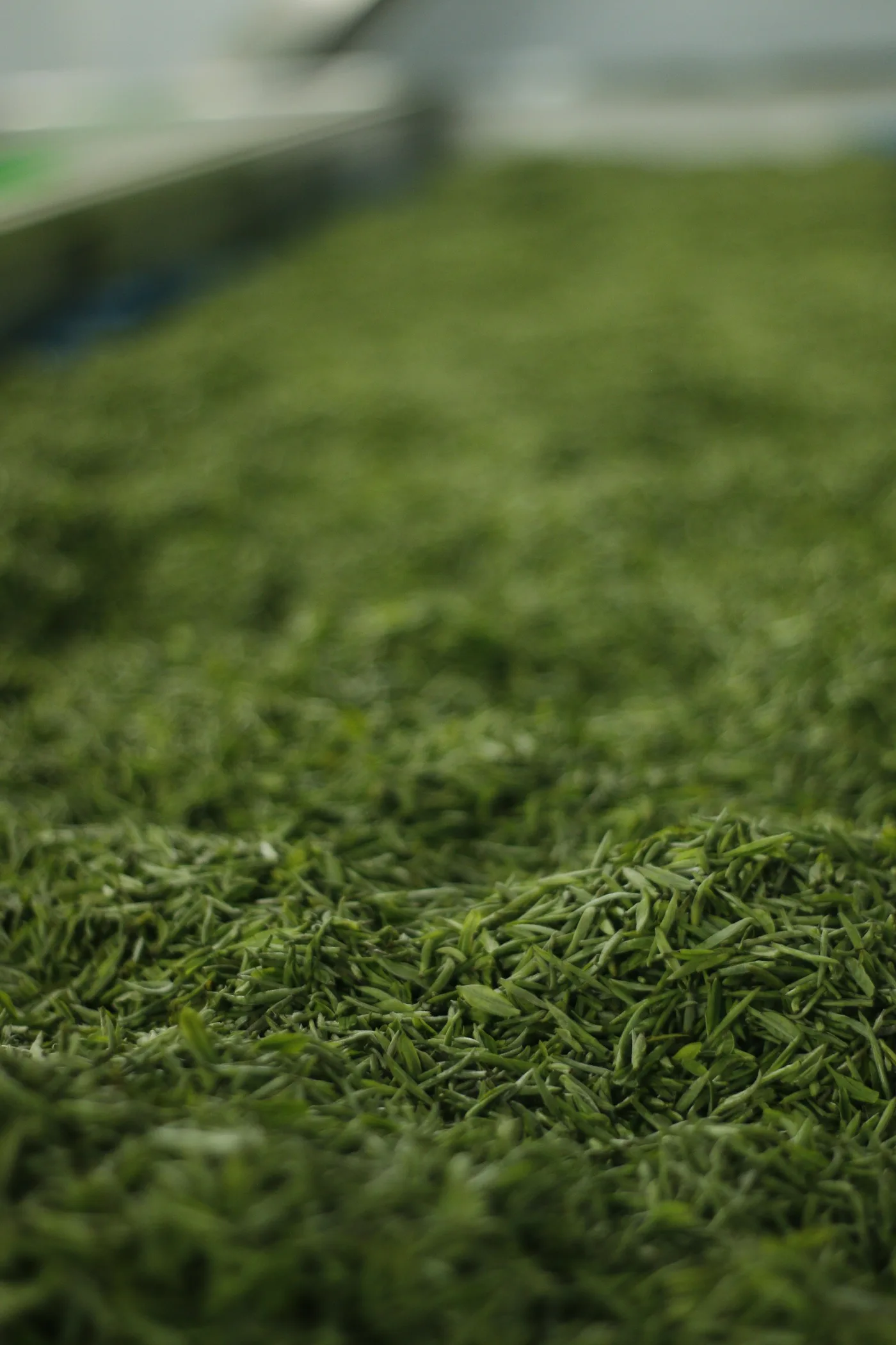 Organic Green detail 2